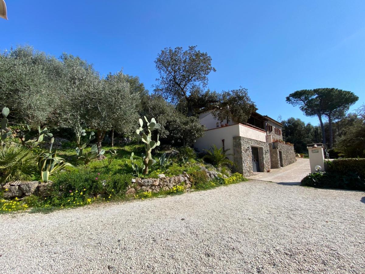 Villa Paradisino Orbetello Ngoại thất bức ảnh