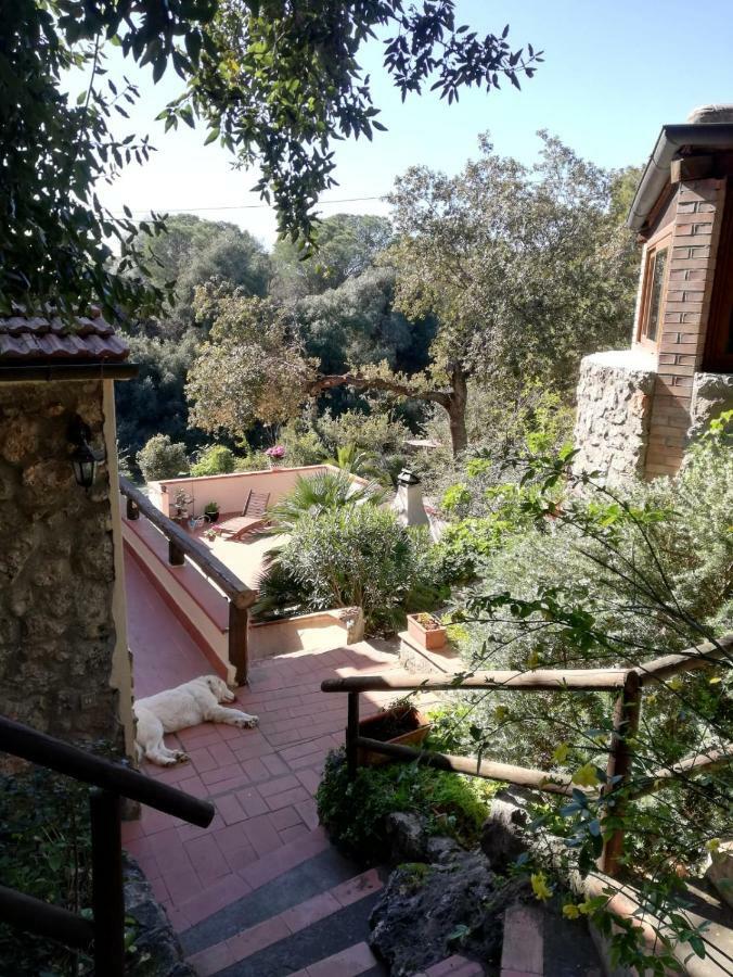 Villa Paradisino Orbetello Ngoại thất bức ảnh